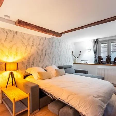 Appartement L'atelier Carriere - Place Stanislas A Vos Pieds *